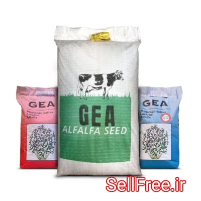 قیمت بذر یونجه جیا , خرید بذر یونجه ایتالیایی gea - فروشگاه بذر کالا